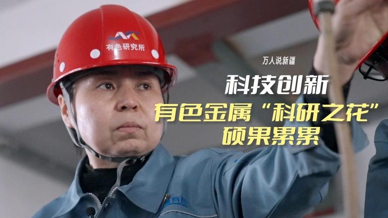 科技公司选择：从性能到合规的全面考量**